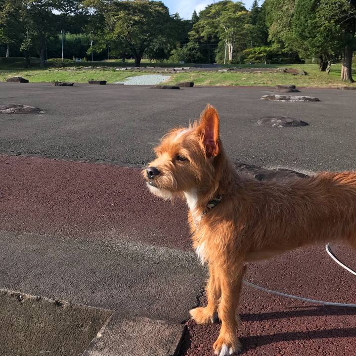 C1f62b2e af3e 417f 8ce4 c4d58cd77776 1537961007957