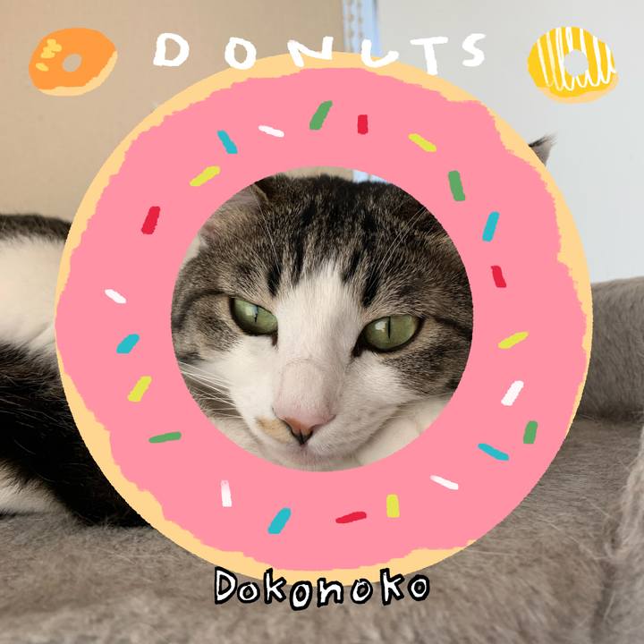 C1f6595e f3ba 472f 8a6c d72ee98e2d58 1744415509724