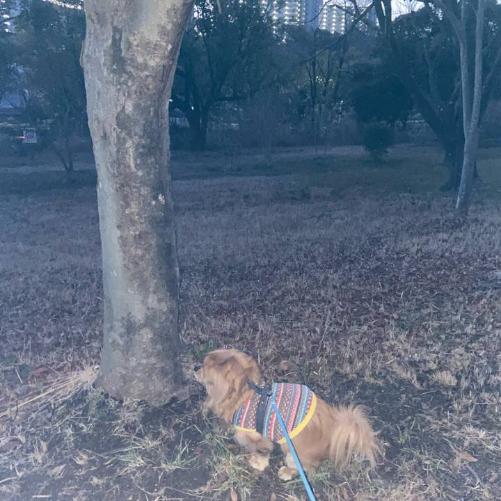 C1f66193 1ace 47f4 8485 6f54f44a7873 1611784330090