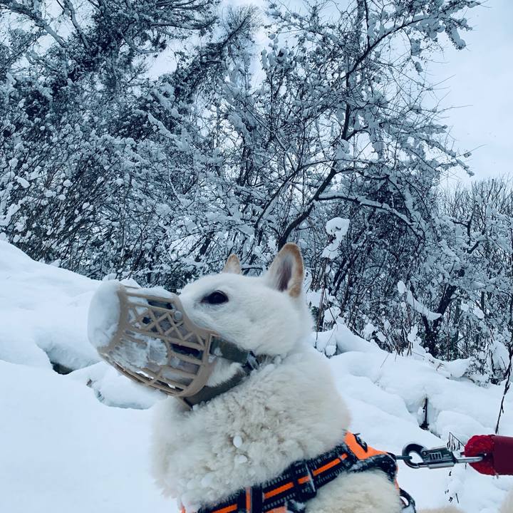 C1f6798b 2715 4abc 9d1f a330649b997d 1671242791057