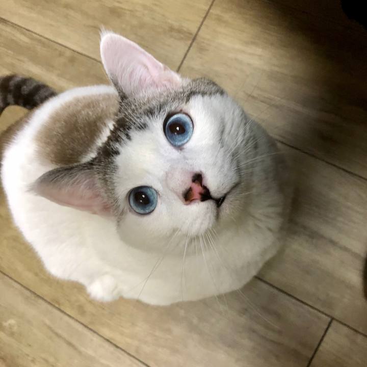 C1f69776 2dfa 4438 b4c9 d635996c6ddb 1582386007365