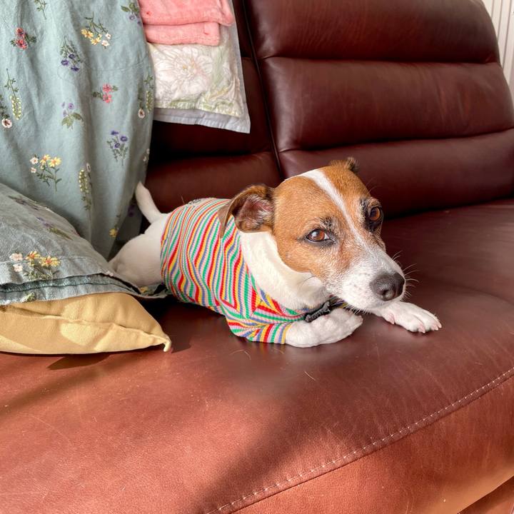 C1f6db6e 9911 4e9e bb11 95561c11c51d 1749252934637