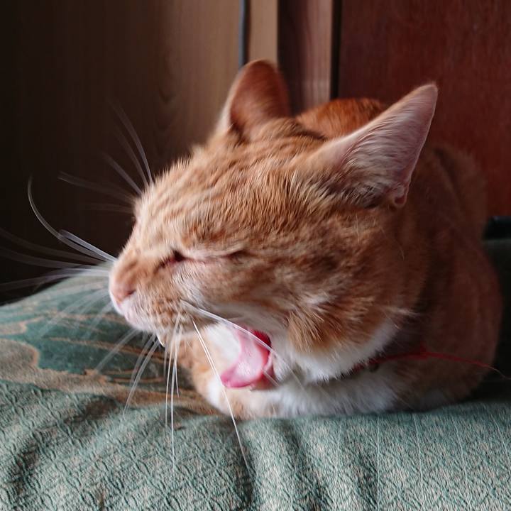 C1f6e0ea d2c4 4415 97e3 43740ea814eb 1571544816782