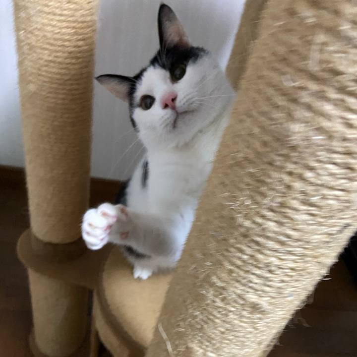 C1f710ee 75f3 41db bc2d d77465f8dfda 1582198188233