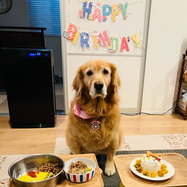 C1f71c0c 391a 4ea0 bf34 40ff1a75d9a3 1755398187818