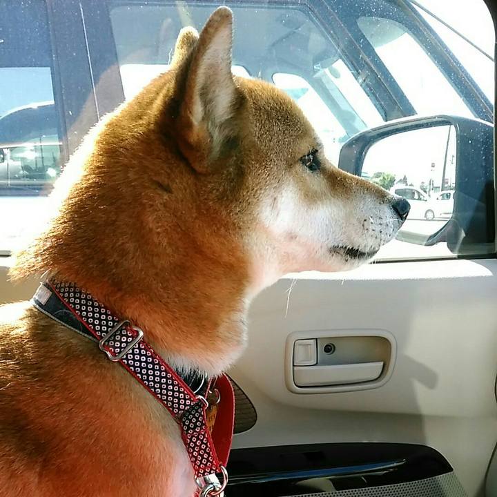 C1f73511 eba7 4a9c aa1b c4a8d78f58a6 1570591776609