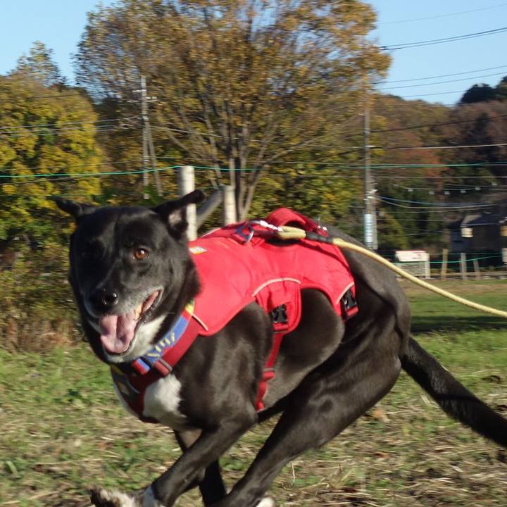 C1f7515a e014 497a 9735 dd5040ec7c17 1669506186854