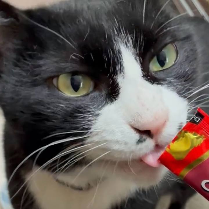 C1f7681b fd3a 4949 a902 700285242f9a 1774235750916