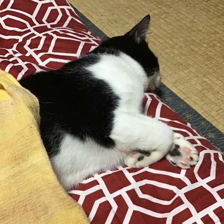 C1f7c126 274d 4012 86a8 ef5eb4676da5 1638172796425