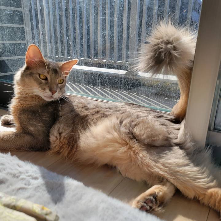 C1f7cd2c 50a3 45ad 8421 2c4c1ea99dd1 1645923311802