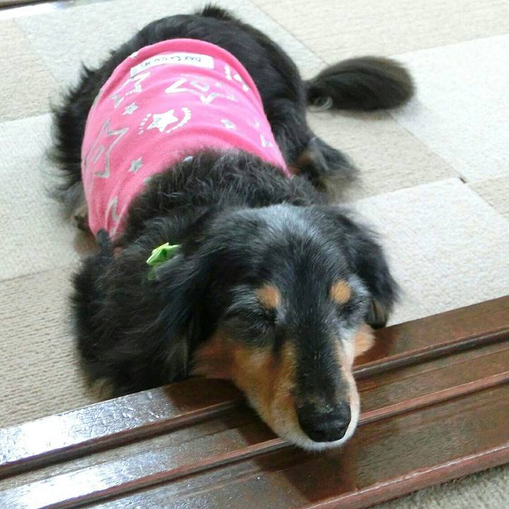 C1f7d6fb 88cc 42a7 8018 c7ec680c5325 1526301478069