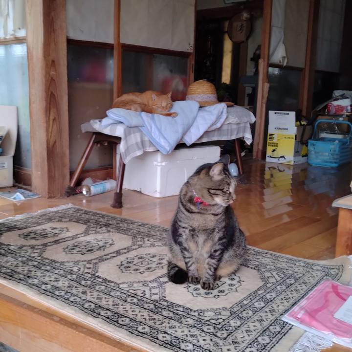 C1f7de5f da66 4628 8fa6 0f996373ebb5 1695882741053