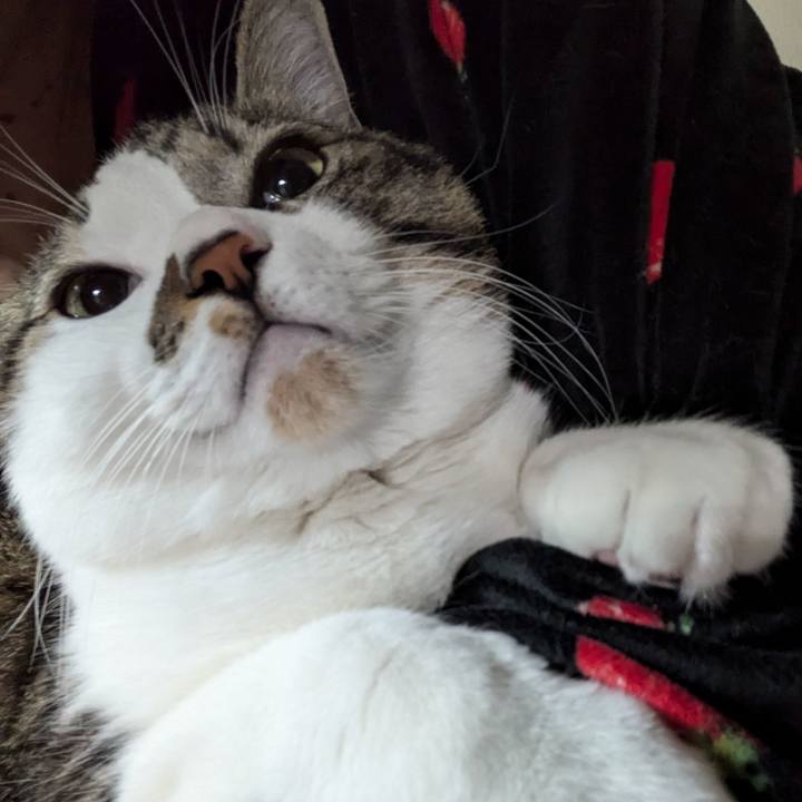 C1f838a5 8085 42c7 b0c4 2444ef467459 1733585798410