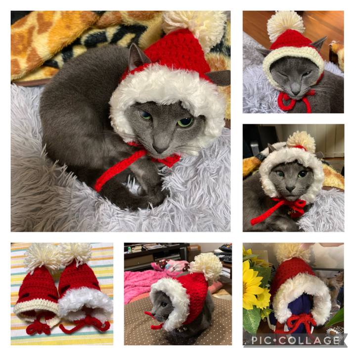 C1f865df f0ce 401a 8235 c68512dff951 1637586300333