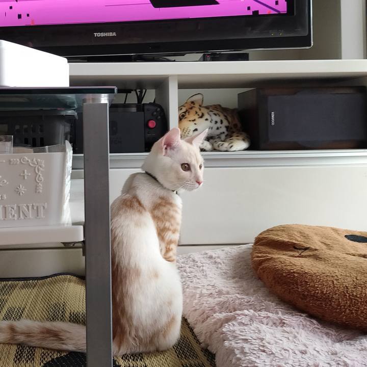 C1f8670a 2f7c 496b 91b4 a2bfec6fe3fc 1631662779668