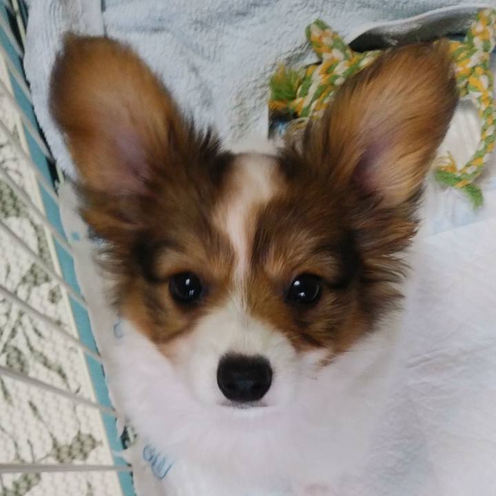 C1f8786a 5ce9 40ca abe6 697c8d72f47e 1599897803018