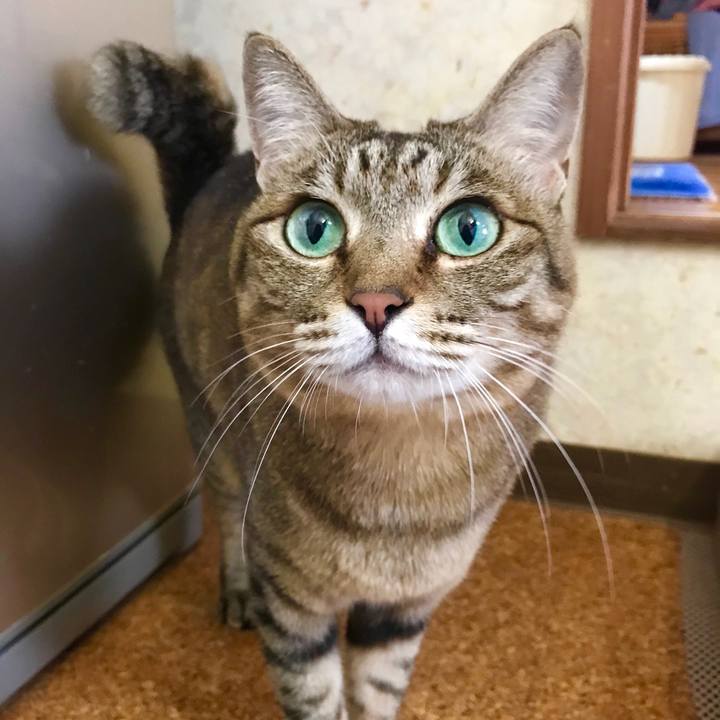 C1f881d6 7a8f 48e4 8b8b 9f0b2f1cb9c0 1520322190923