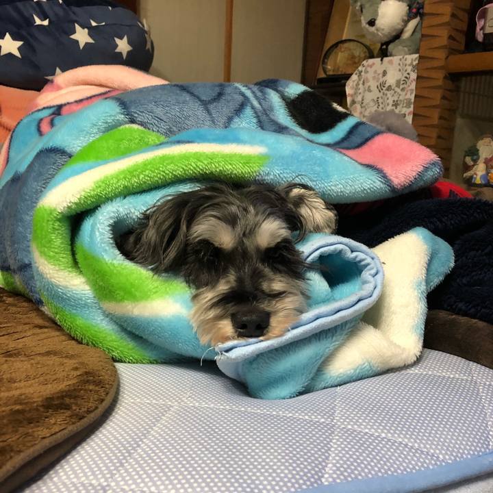 C1f8b526 a734 4bf9 8b5d 9283fb27da36 1640577344214