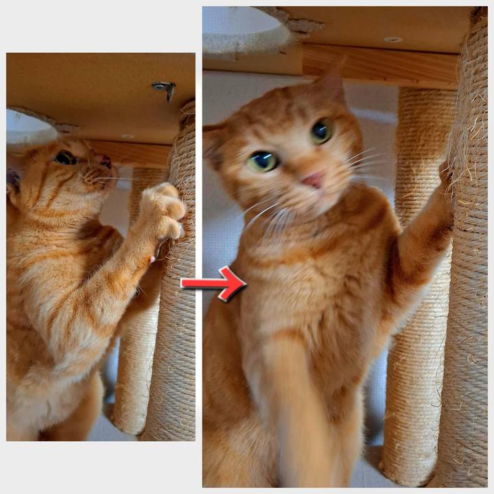 C1f8c0ba b717 4cdd a664 01337ba38f97 1732108403221