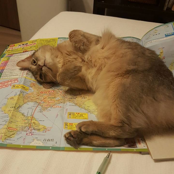 C1f8ee84 acda 4925 b0dc ea2e26f2fac2 1530538710914