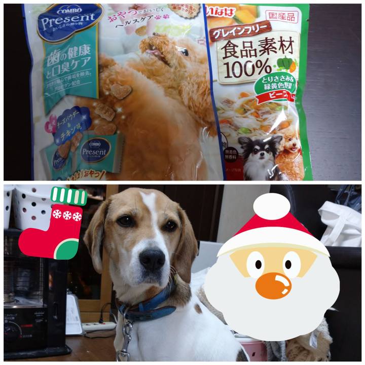 C1f8f11f f815 42db b591 daf7c4bc63be 1608881630816