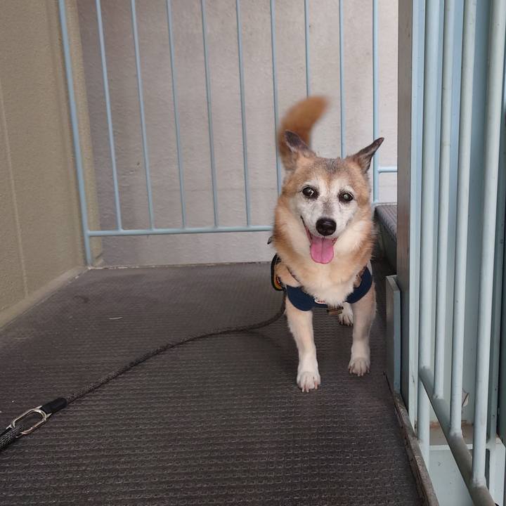 C1f91dd8 b7d5 4855 a2de f9f134a32f84 1719471945324