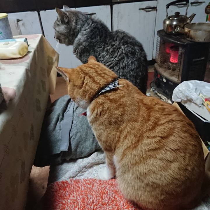 C1f92a8c fa96 4080 ada9 0254c95b1f02 1574423019390