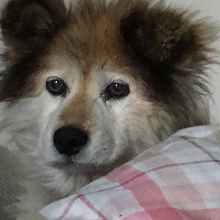 C1f94b55 cbea 4788 b343 35f10b705a24 1576112471305