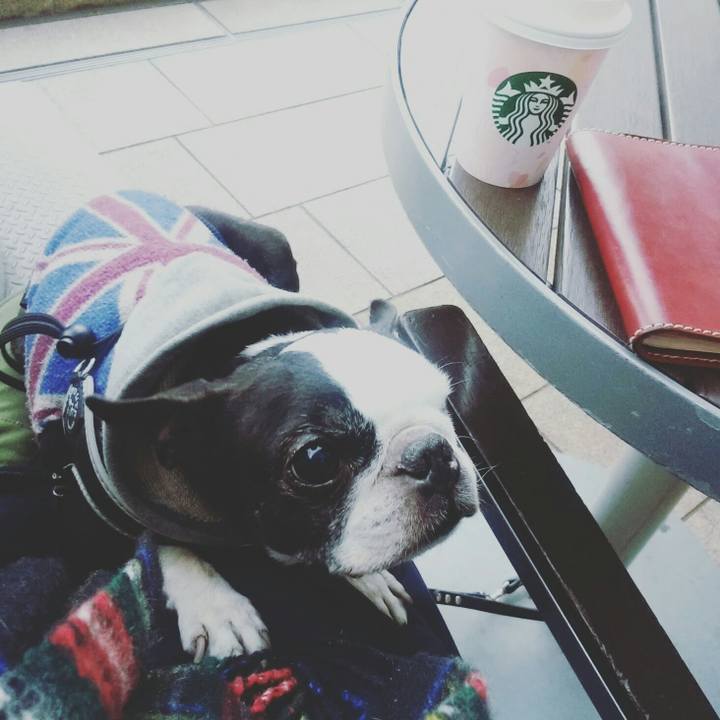 C1f98fe4 43e3 4635 a727 868c6e47bffb 1519216317464