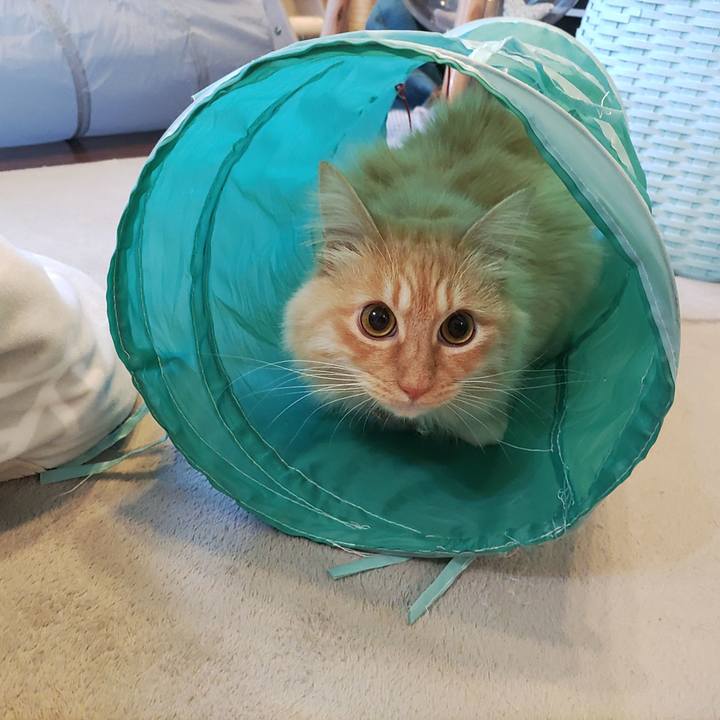 C1f99af1 fb90 4893 964a e3aeb3c34112 1672102642010