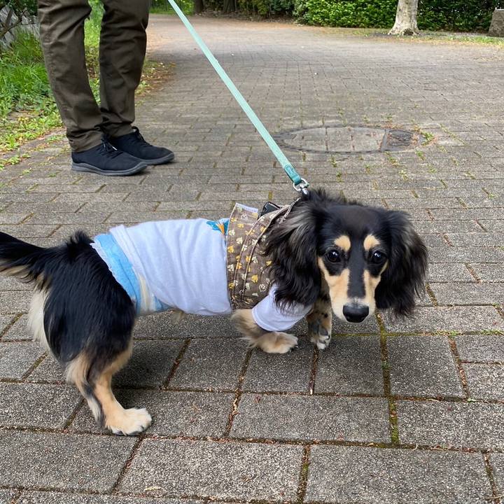 C1f9bca0 f9c4 4bf6 83fd 000a871b8515 1681789331812