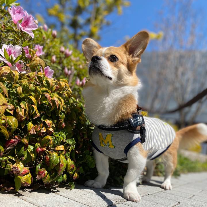 C1fa08ed 8d4c 4425 ad20 6b67c3a11b59 1586490813019