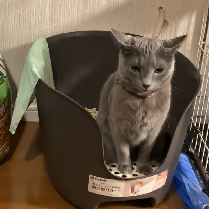 C1fa9b76 9bc0 4a65 8ce9 fddd8ef5d6e3 1654486238758