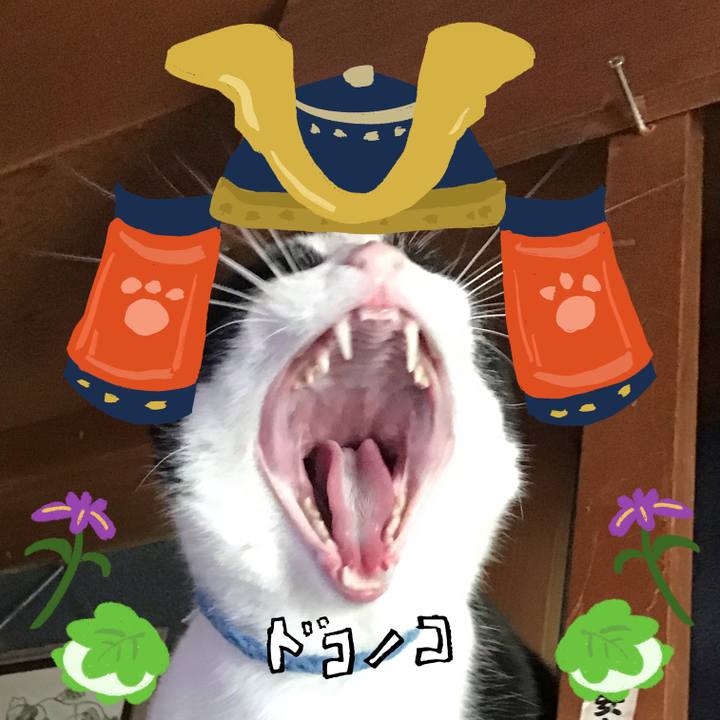 C1fab5ec 193c 4612 8bd1 50d10451593f 1714882113091