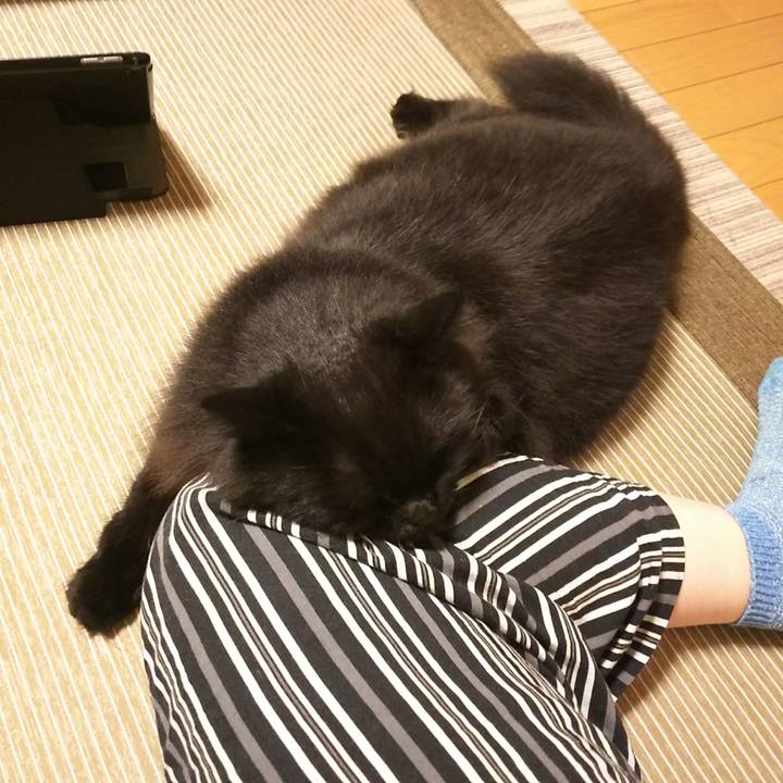 C1fab807 6a93 48e0 892c bd61b8fa9576 1538481721231