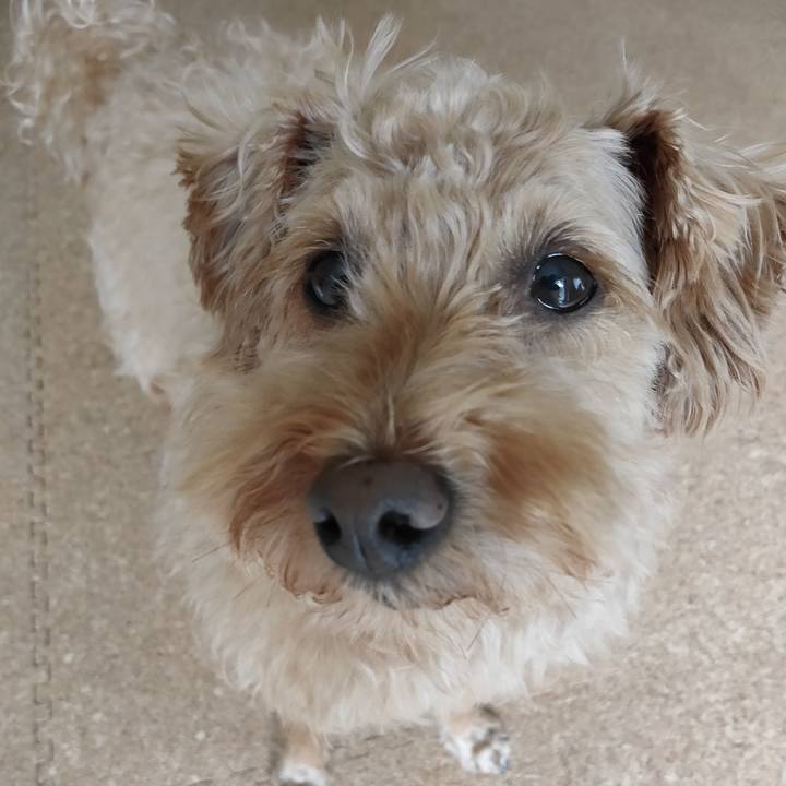 C1fabda8 1044 4773 a91d 4f8ed6d5a96e 1595459666824