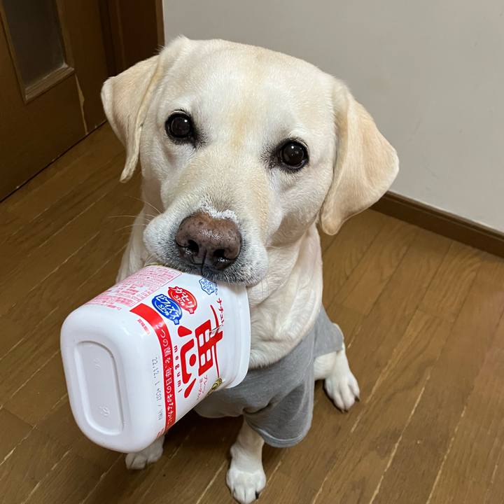 C1faf392 2e21 40a4 a973 cec43b2a2602 1671589912838