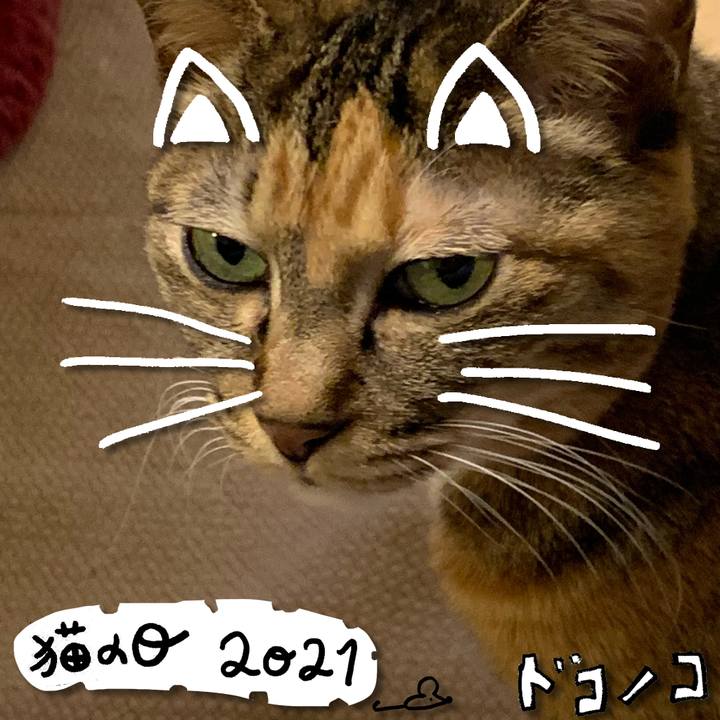 C1faf4ed 8fcc 465d b7ae 6e6db04231ee 1613995933273