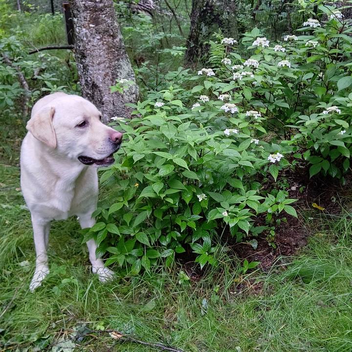 C1fb1aa5 14eb 47bf b4b1 cfcdb8bb0ce3 1595820085475