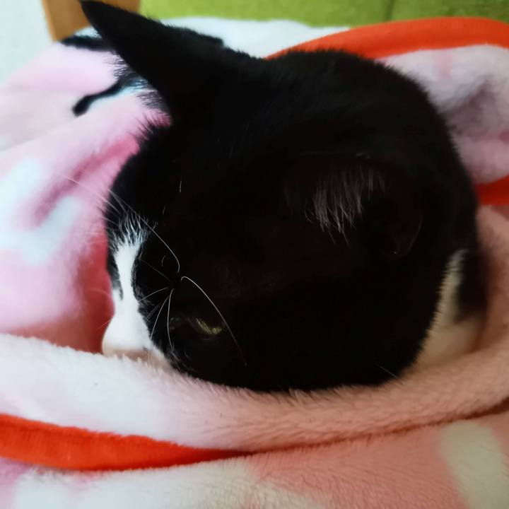 C1fb8891 3a63 4e9b b0ed c65e3fc12b81 1697513362355