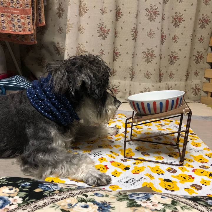 C1fb9413 3681 4560 b82e 01d88dbb3f34 1639221540396