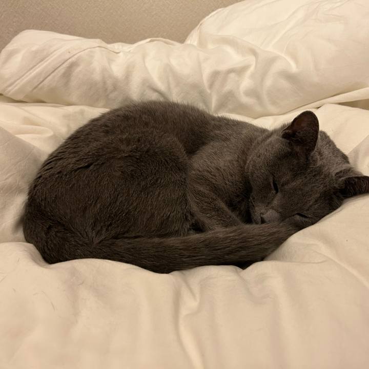 C1fbbcd6 36bb 43f6 9667 3bb3f1ab994a 1700734753686