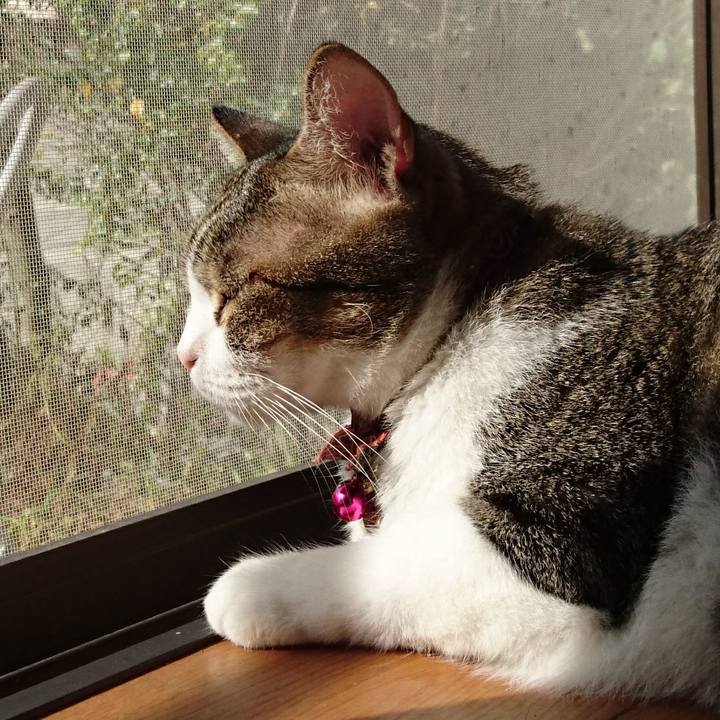 C1fbe028 c111 4682 a5a5 c800d7c64058 1537749553355