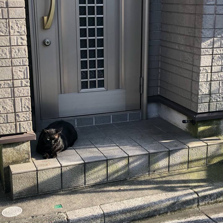 C1fbeb01 424a 4b1f bd01 78973891d6db 1565876671015