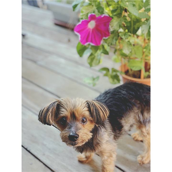 C1fc133e 8594 4613 9786 875726bd0664 1627769269723