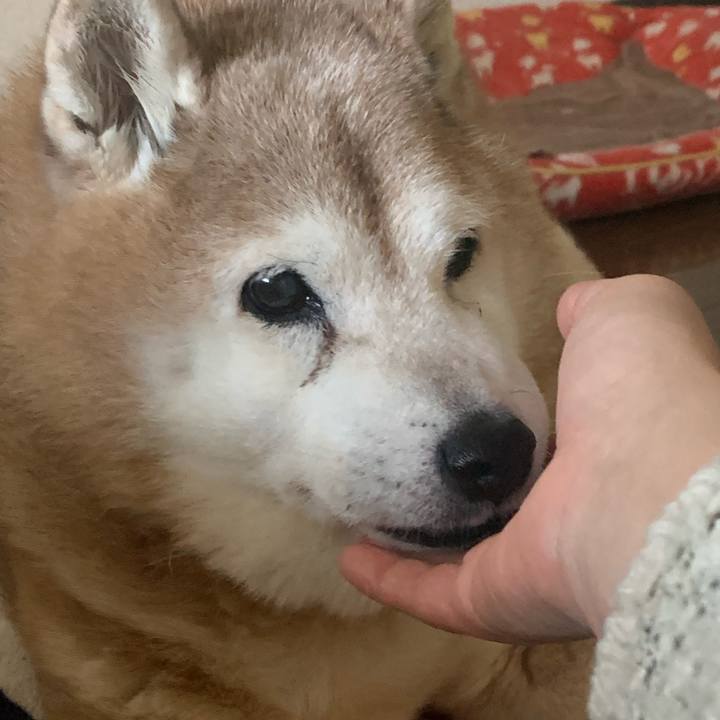 C1fc14af 4c14 45a7 b478 769555b9b6e8 1641173307067