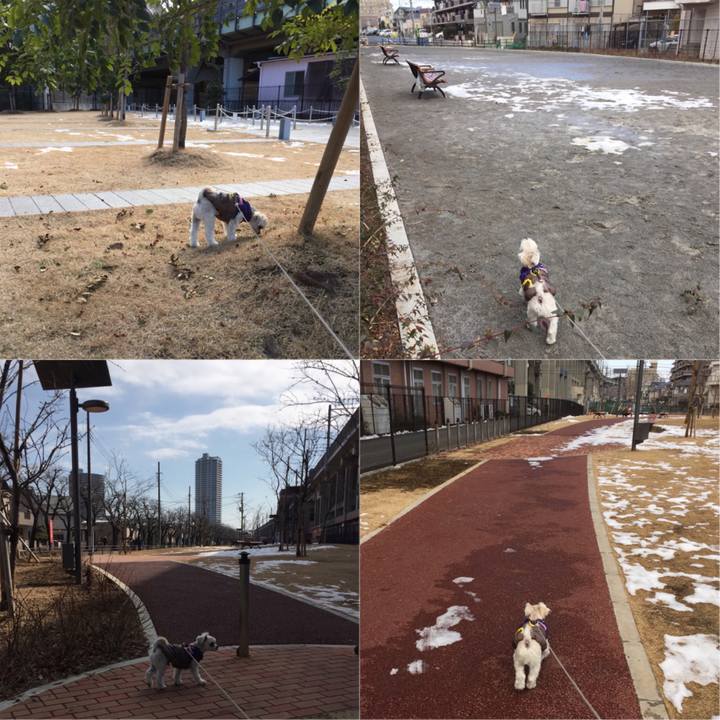 C1fc1ed0 3320 44fd af08 b1801b9ae2d1 1517721975060