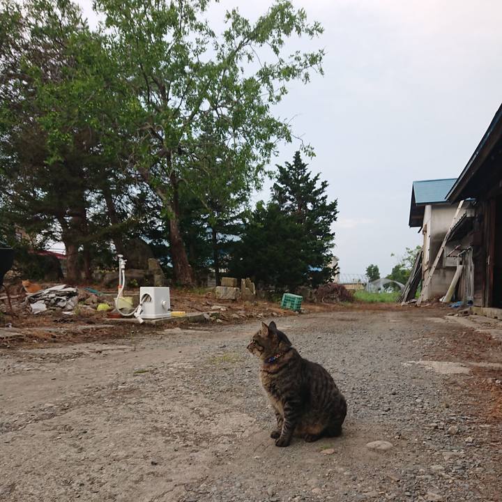 C1fc3d37 f6c7 4b2c 88e9 71d88ebe68d6 1660172260661