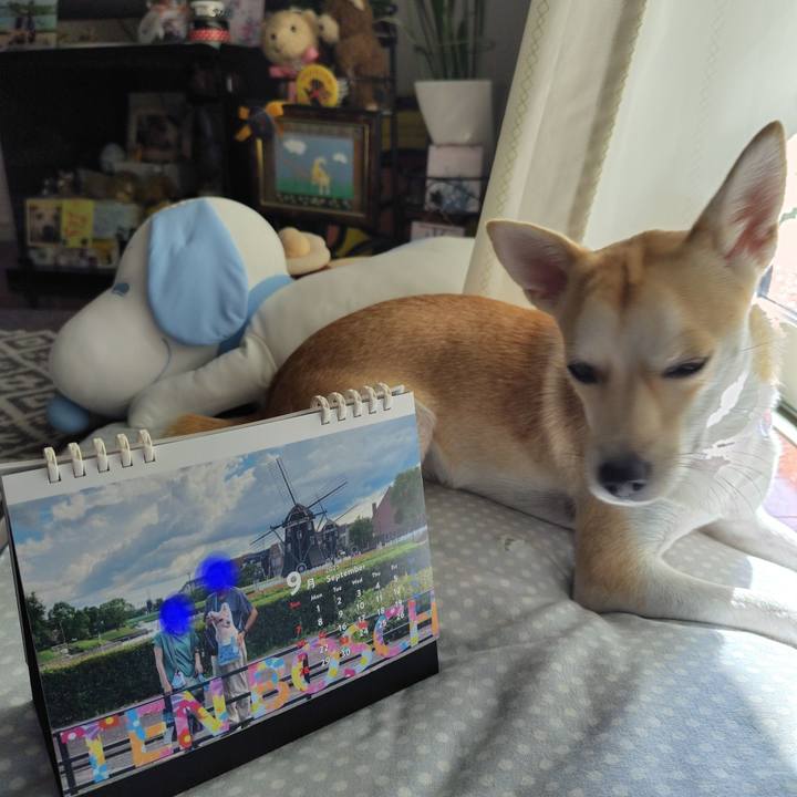 C1fc4944 7231 4d78 9a4f 2358bf9425d9 1756692342268