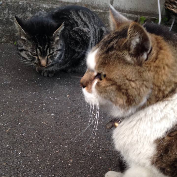 C1fc9739 ed4e 41d4 881b c27724e32c68 1513181897580